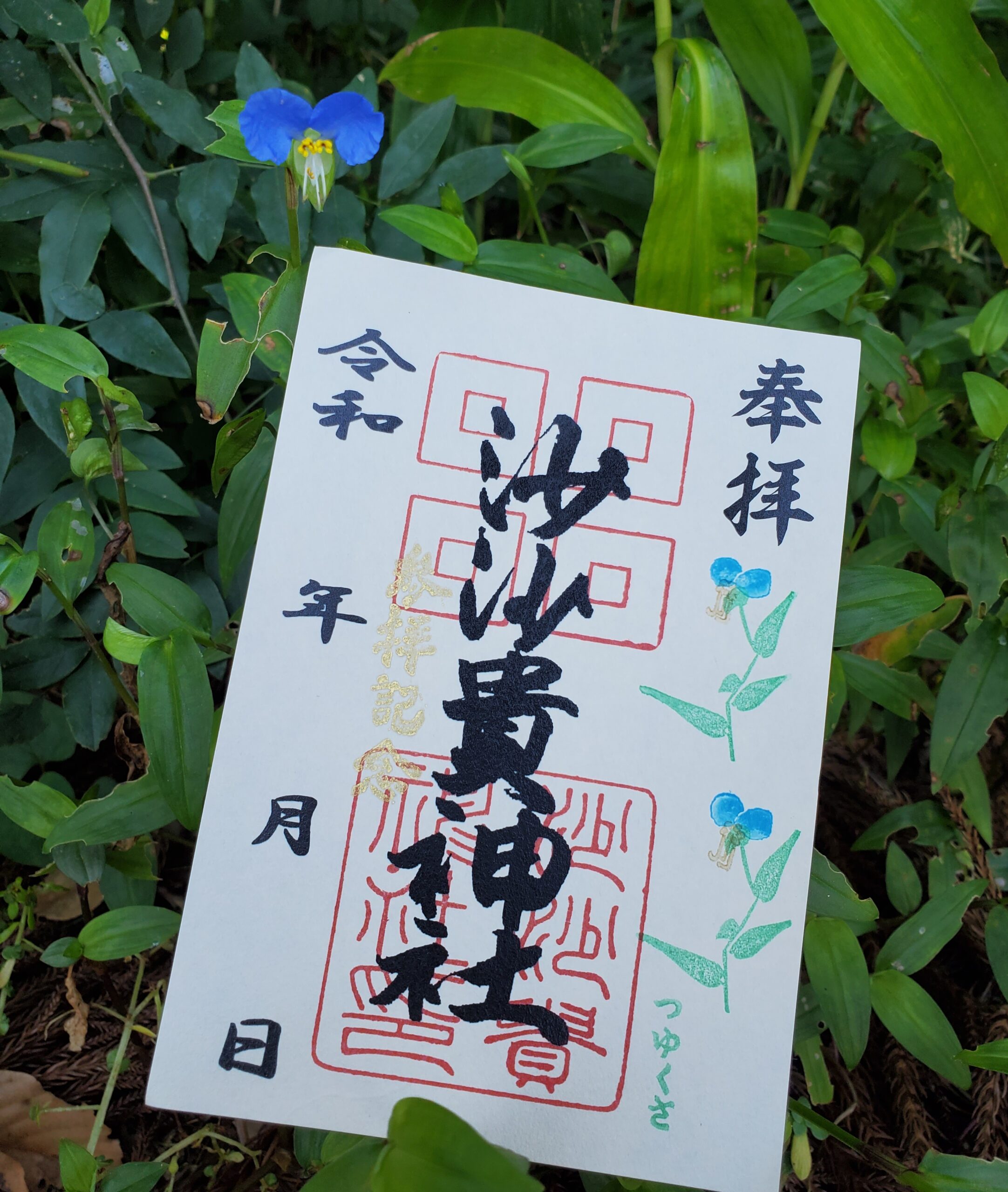 【御朱印】露草（つゆくさ）