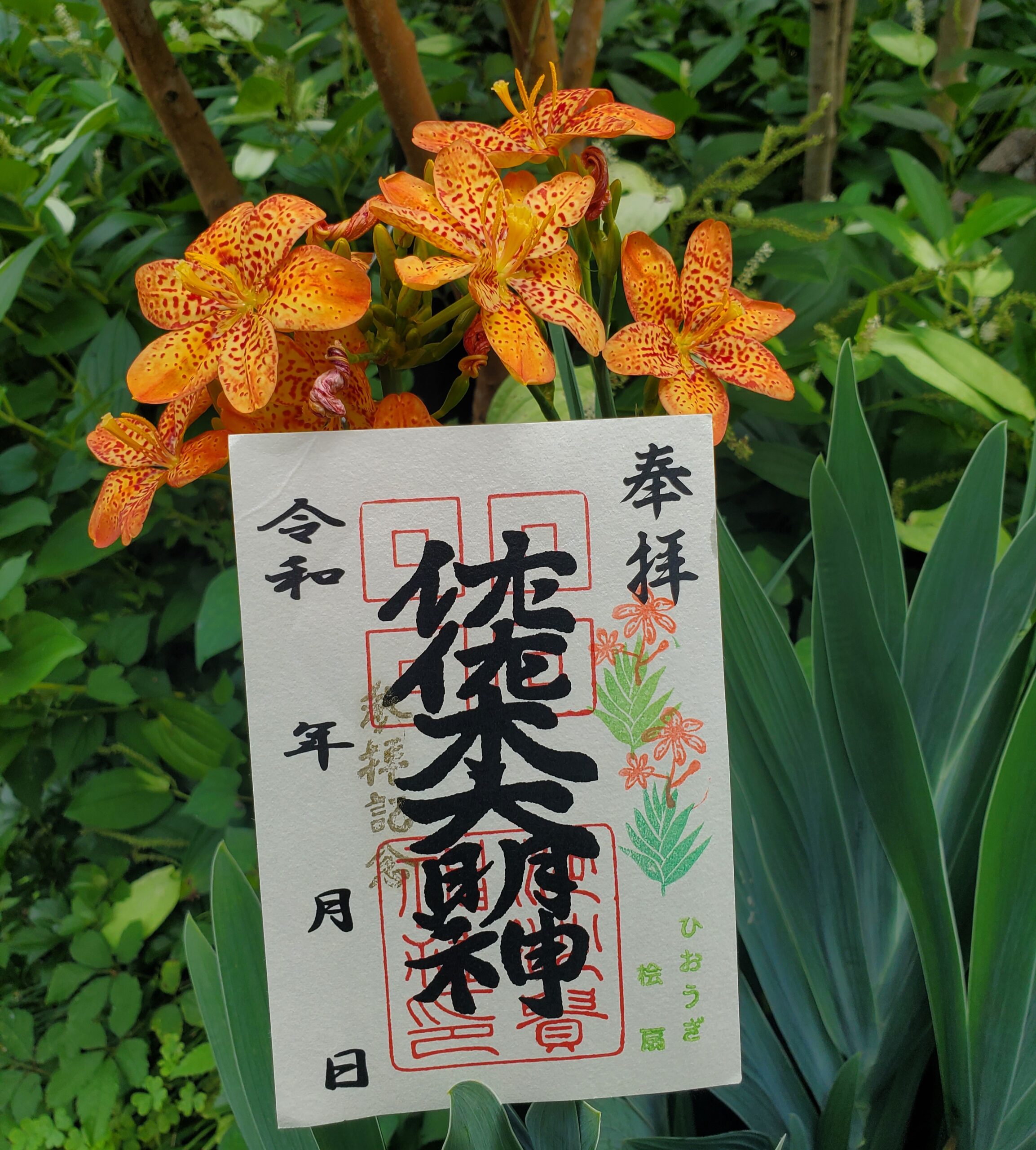 【御朱印】檜扇（ひおうぎ）