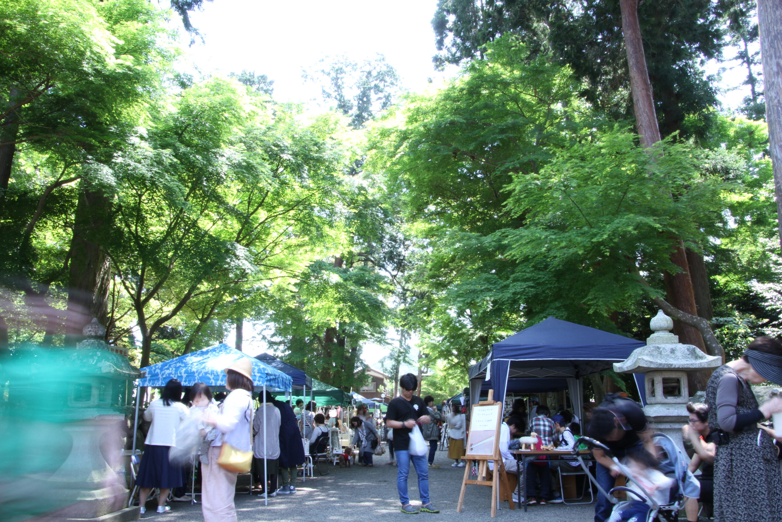 沙沙貴杜遊（ささきもりあそび）マルシェ出店者募集のお知らせ！