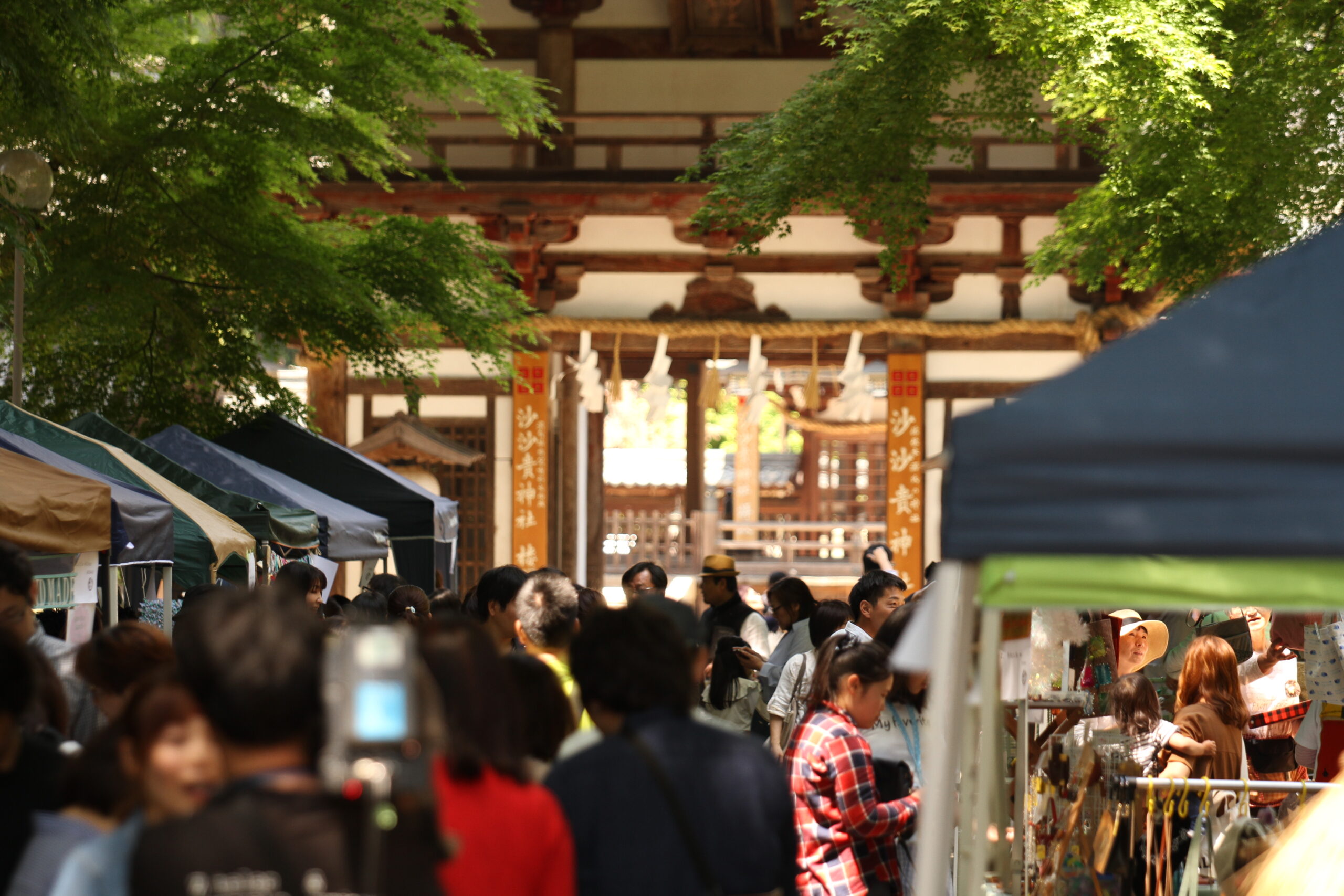 沙沙貴杜遊（ささきもりあそび）マルシェ出店者募集のお知らせ！