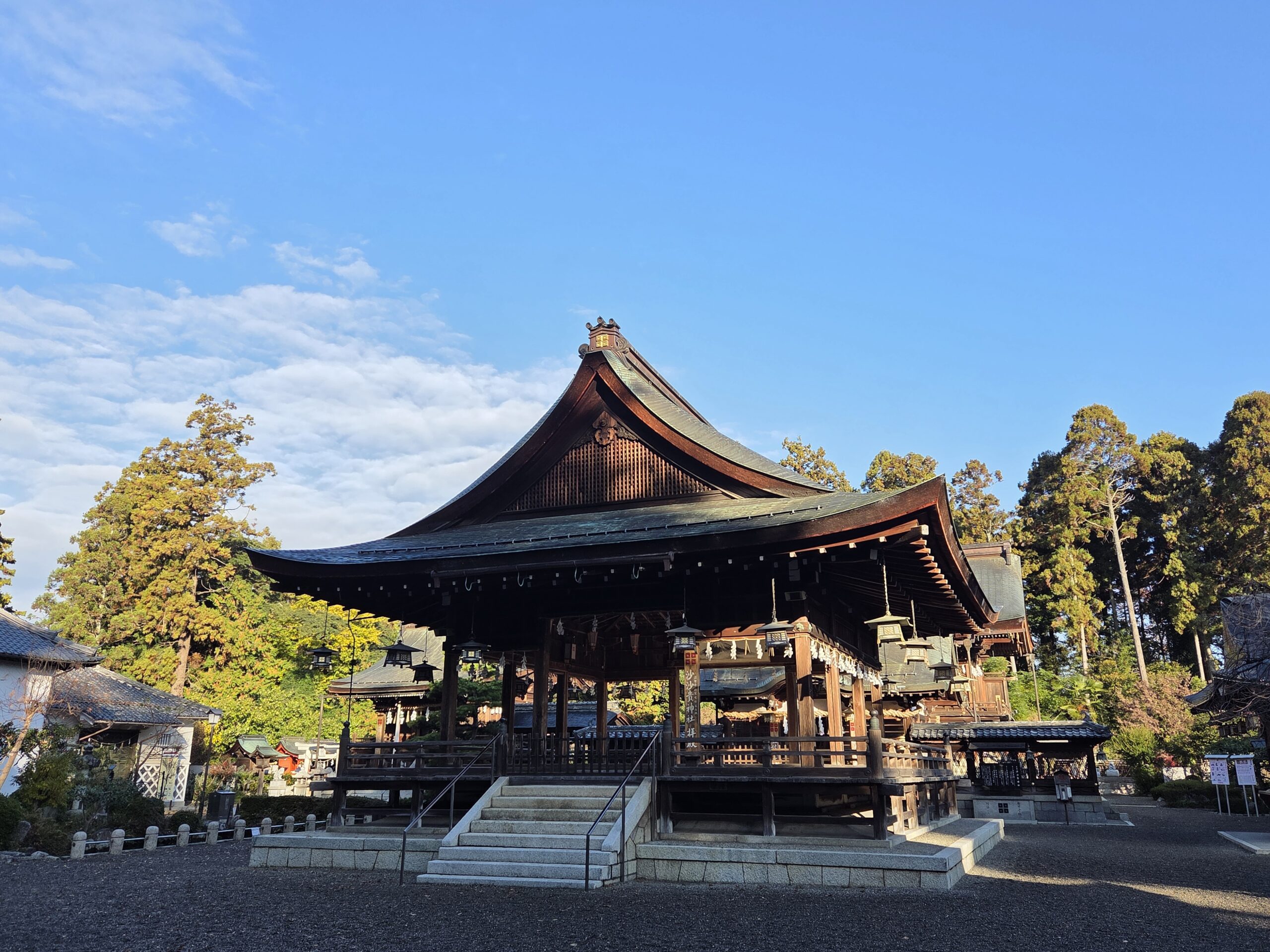 【12月】沙沙貴神社には冬の気配。境内の花と初冬の御朱印をご紹介