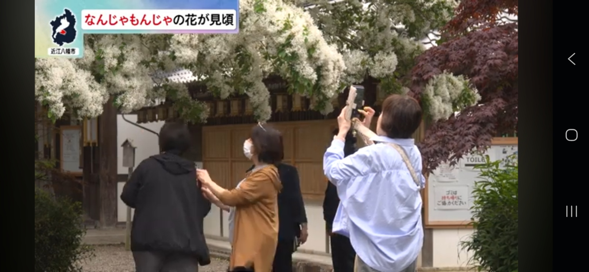 大勢の参拝客が訪れられている